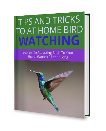Free Guide!
